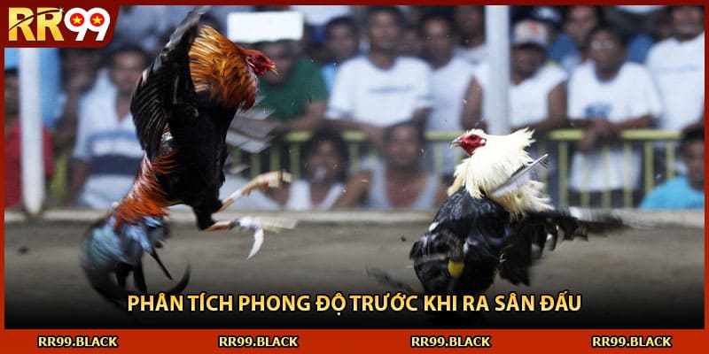 Phân tích phong độ trước khi ra sân đấu