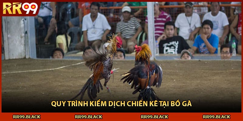 Quy trình kiểm dịch chiến kê tại bồ gà